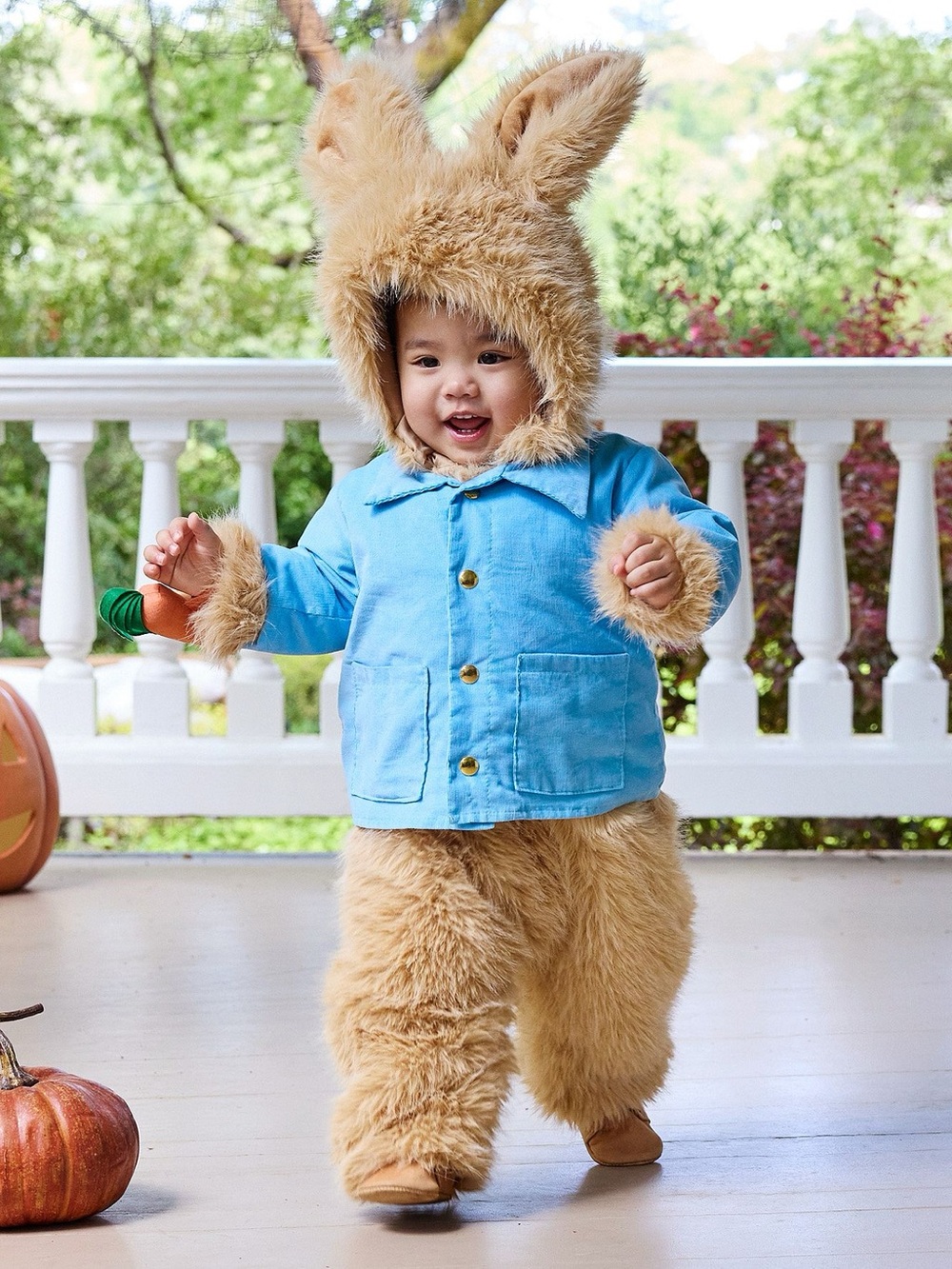 Pottery Barn - Peter Rabbit - Picture 4 of 6